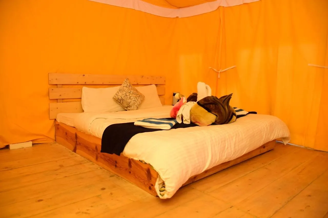Campo de lujo Green Caravan Camps Hotel Shimla